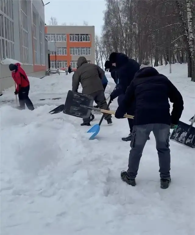 Более 16,5 тысячи жителей Тульской области вышли на «Снежный субботник»